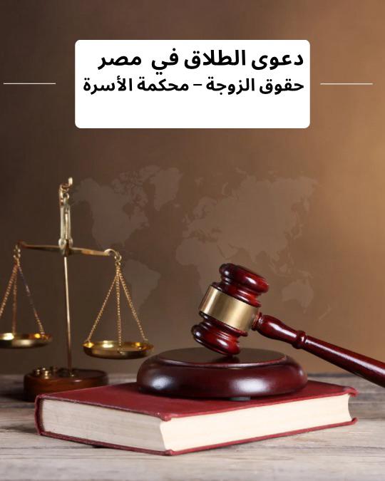 WhatsApp Image 2026 02 24 at 10 47 15 PM